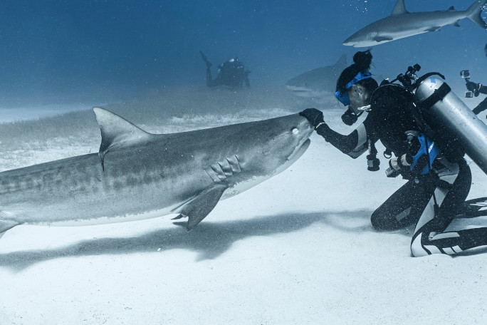 Emily holding a shark's nose