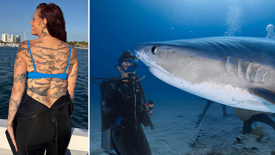 Split image of Emily's back tattoos and Emily diving with a shark