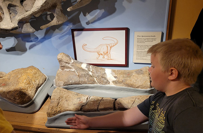 Young Anderson with fossil