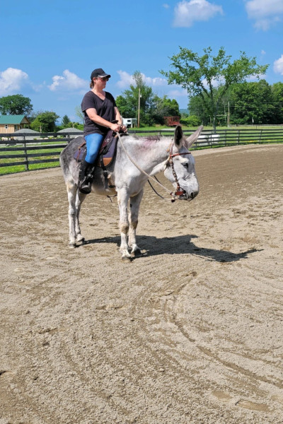 Jennifer riding Hank