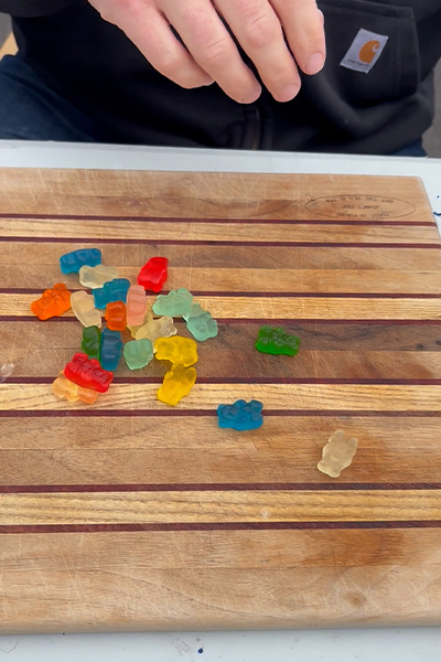 Matthew counting out gummy bears