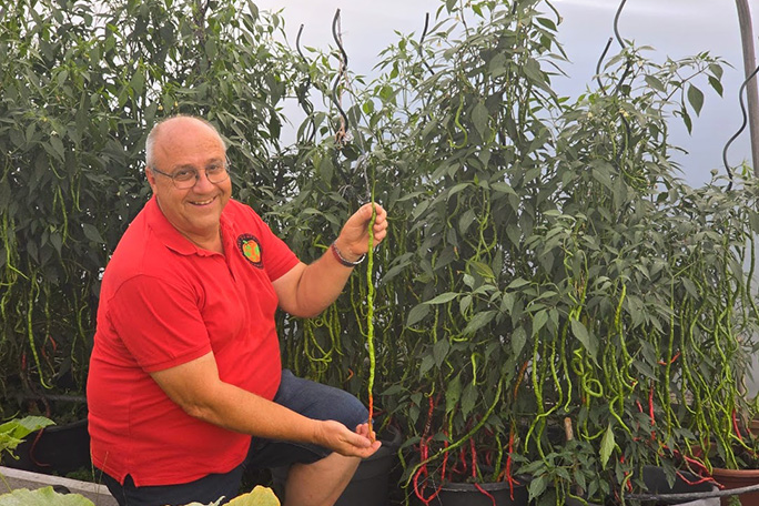 longest-chilli-pepper-with-grower-Jurg-Wiesli