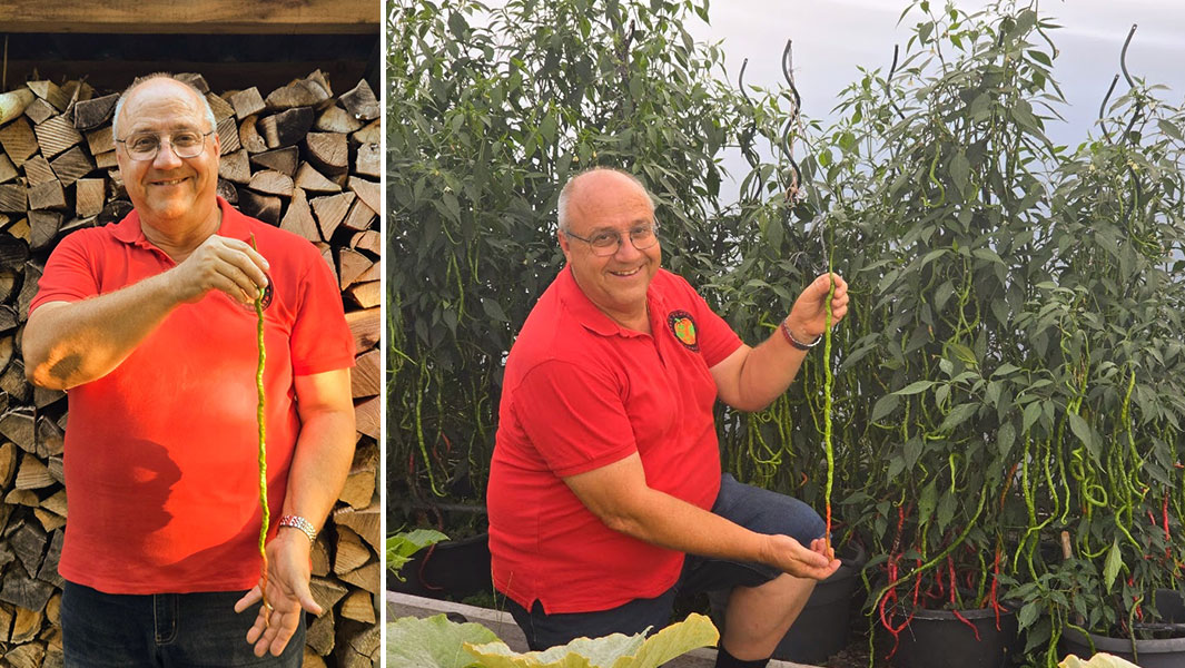 longest-chilli-pepper-with-grower-Jurg-Wiesli