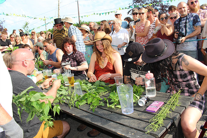 world-stinging-nettle-eating-championship-lucy-dermody-stripping-nettle-leaves-during-2025-competition