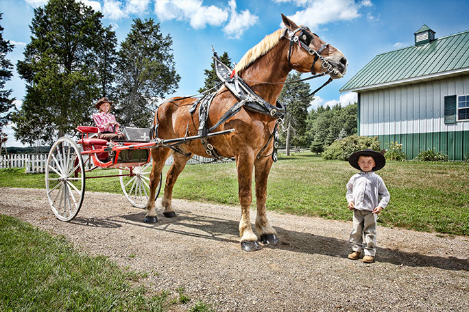 big-jake-former-tallest-living-horse-in-2010