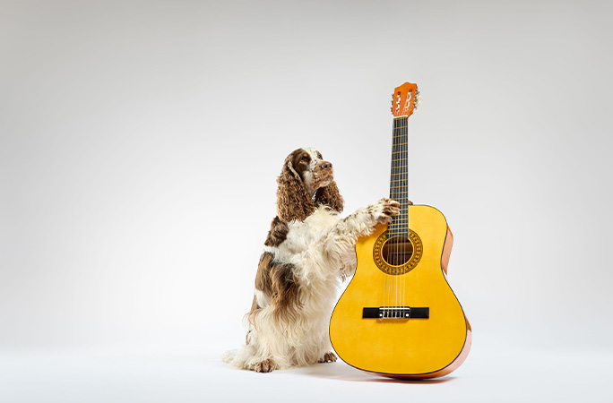 Bonnie with a guitar