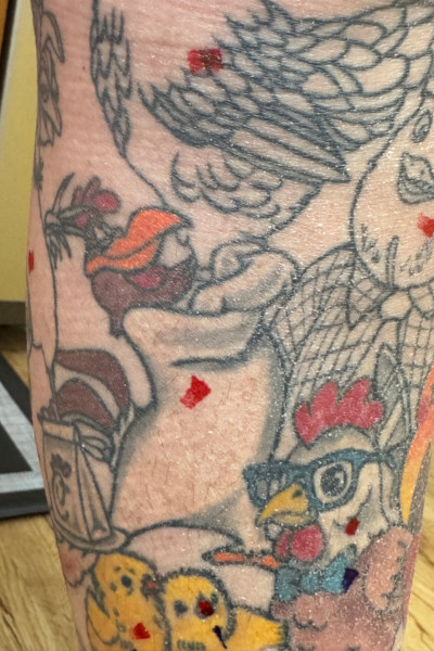 Closeup of Ashley's Foghorn Leghorn tattoo
