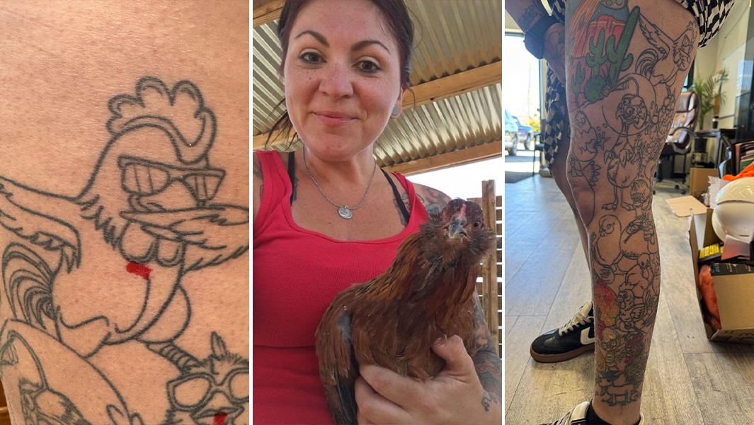 Three way split header with two photos of Ashley's tattoos and a selfie of Ashley