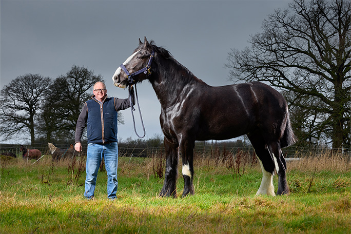 hugo-tallest-horse-in-field-with-brett-masters
