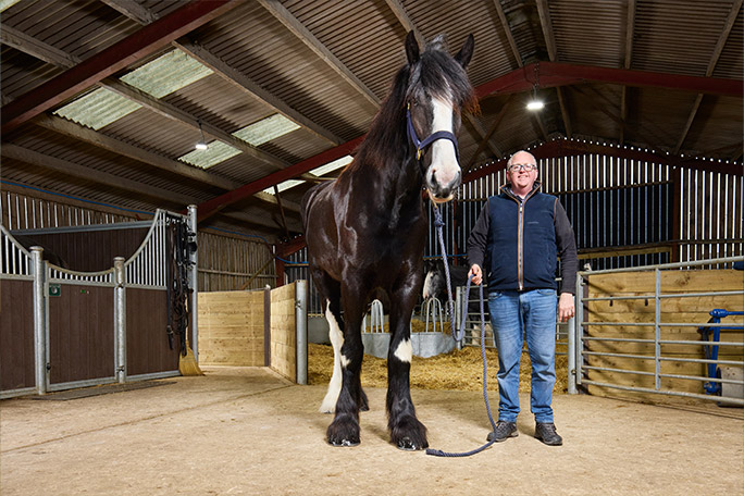 hugo-tallest-horse-in-stables-with-brett-masters