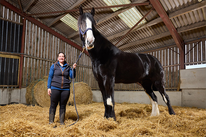 hugo-tallest-horse-in-stables-with-lisa-masters