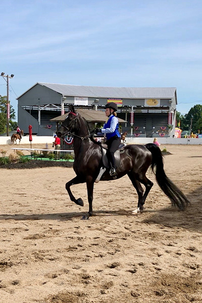 jenny-longest-tail-on-a-horse-at-a-show-when-her-tail-was-shorter