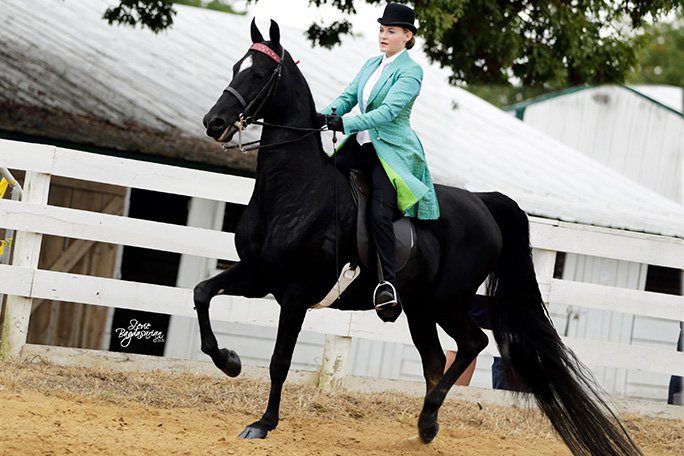 jenny-longest-tail-on-a-horse-being-ridden-by-mackenzie-lowe