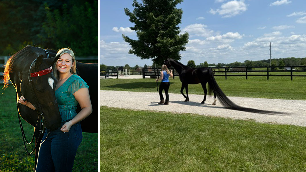 jenny-longest-tail-on-a-horse-head-and-tail