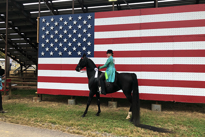 jenny-longest-tail-on-a-horse-with-mackenzie-lowe-at-a-show-with-american-flag