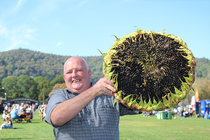 malvern-2026-heaviest-sunflower-head-with-grower-vincent-sjodin