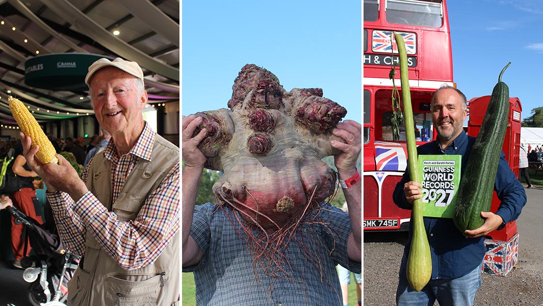 malvern-2026-sweetcorn-beetroot-tromboncino-and-luffa