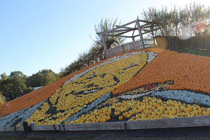 sunnyfields---attenborough-mosaic---closeup