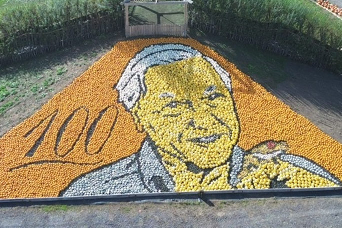 sunnyfields-david-attenborough-2026