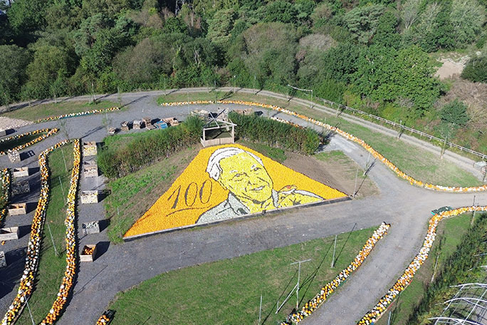 sunnyfields-david-attenborough-aerial-2026
