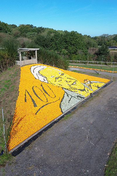sunnyfields-david-attenborough-mosaic-2026