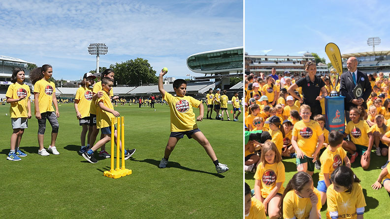 Largest cricket lesson header