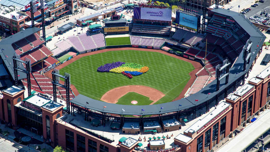 Largest human image of a brain