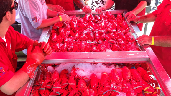 Lobster article main