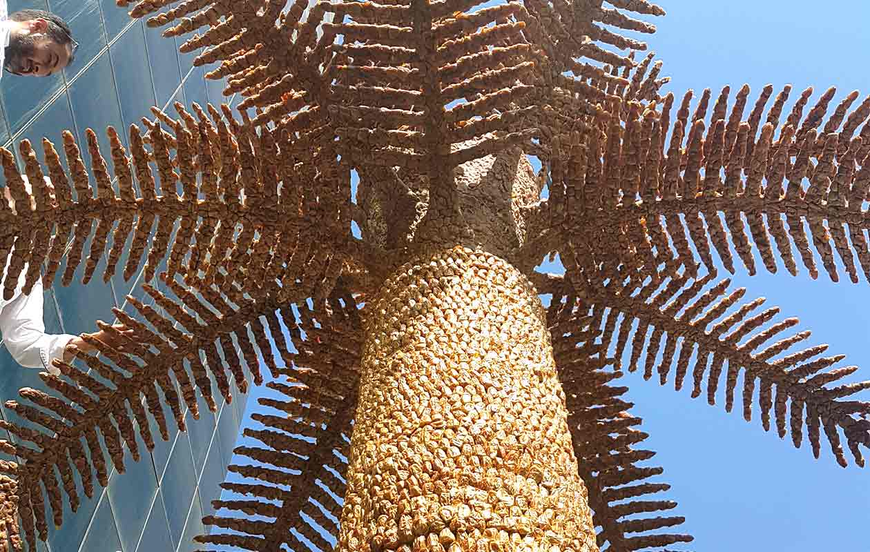 Largest fruit sculpture close up header