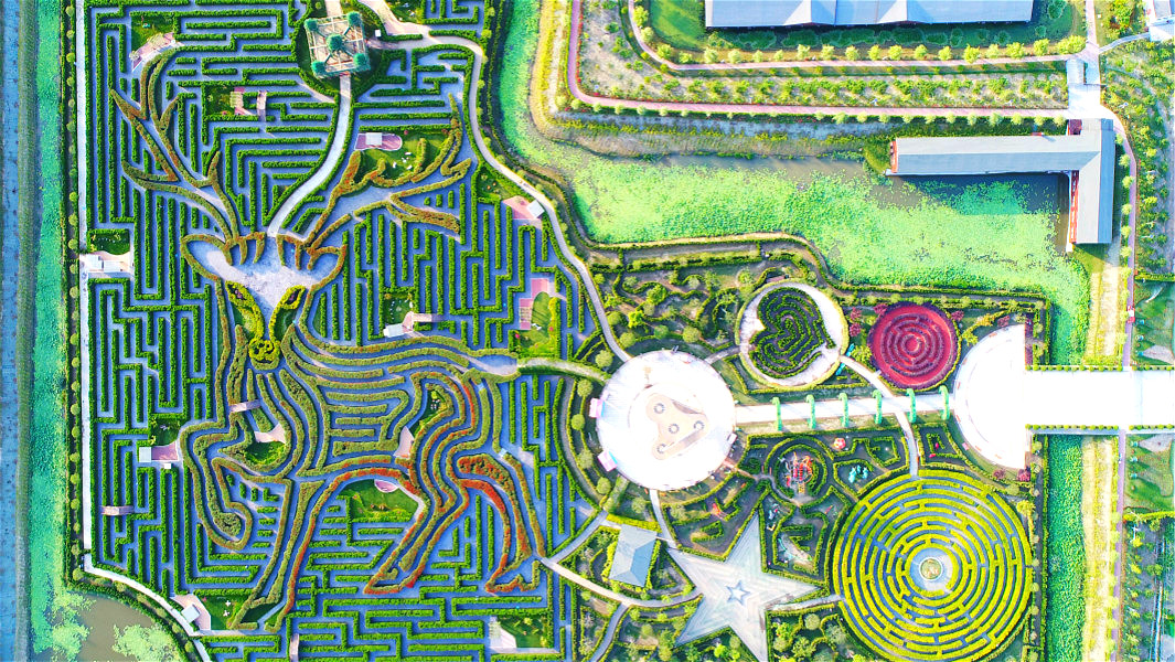 hedge maze header