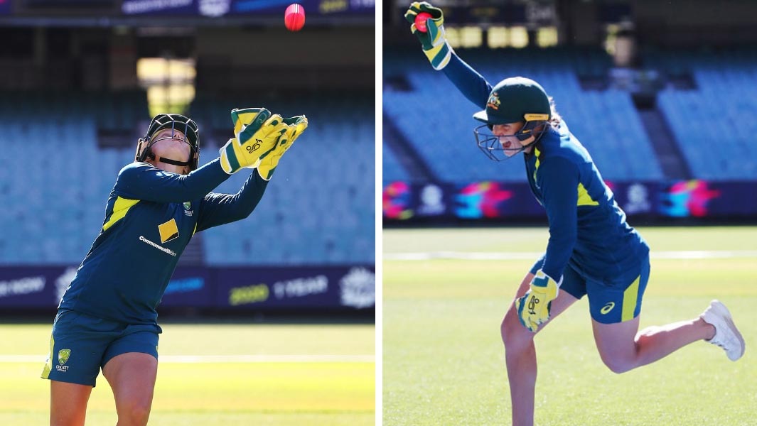 Highest catch cricket ball and celebration