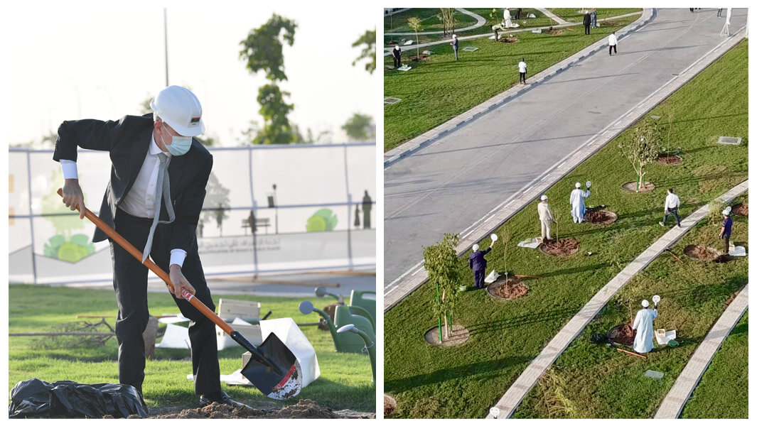 Collage images from an attempt that saw multiple nationalities planting trees