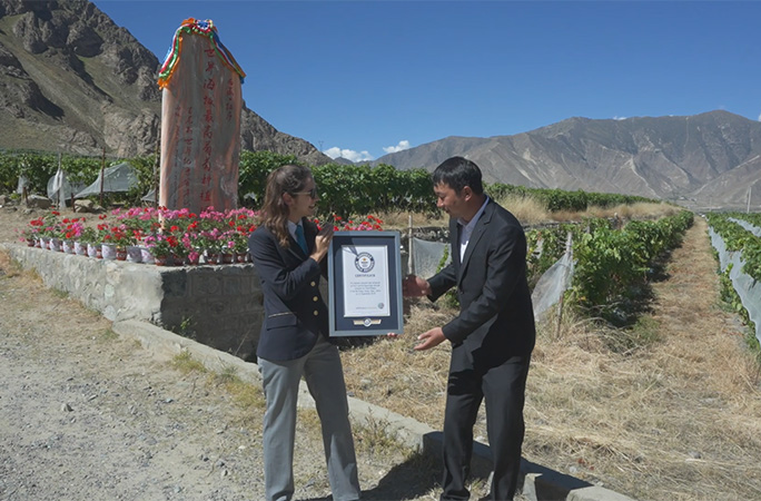 Anouk with vineyard manager Mr Li