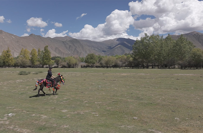 Riding a horse at the highest vineyard