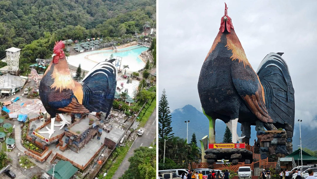Aerial view of the largest building in the shape of a chicken