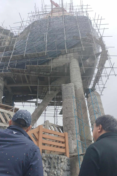 The building under construction