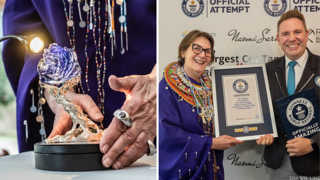 GWR-certificate-presentation-for-largest-cut-tanzanite-to-Naomi-Sarna
