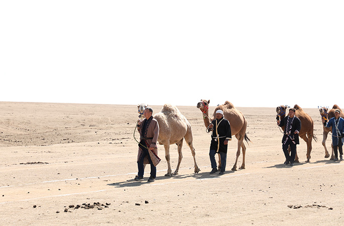 a man leads a camel in a parade 