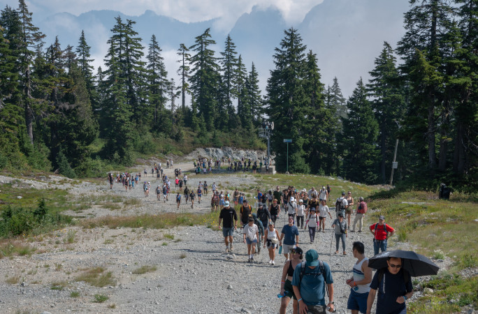 Hikers walking through the forest