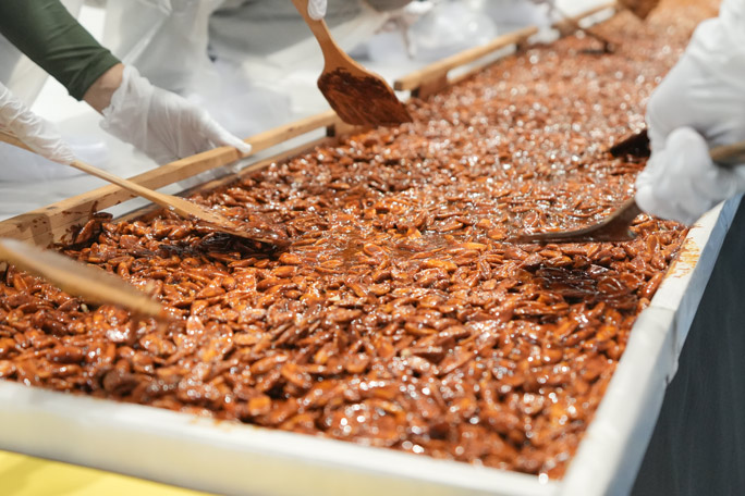 Close up of the largest nut brittle/praline