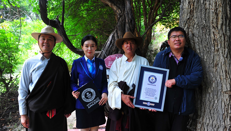 Adjudicator with the vine