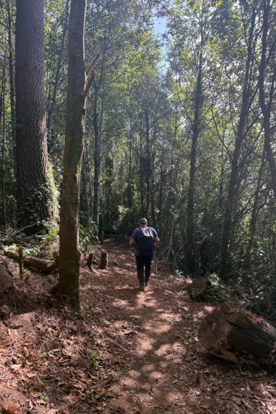 Jaime hiking through the forest