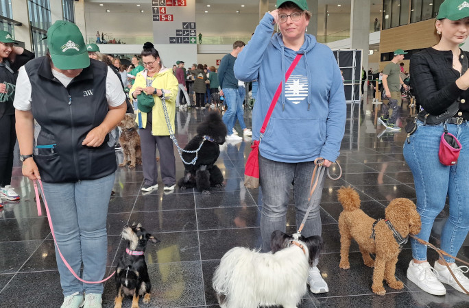 The dogs sitting