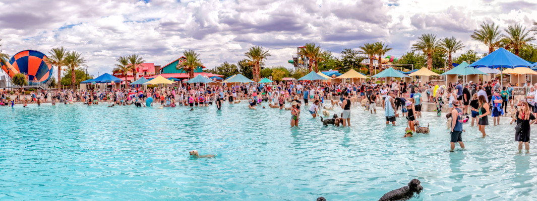Panorama of the dogs and people enjoying the water park shallows