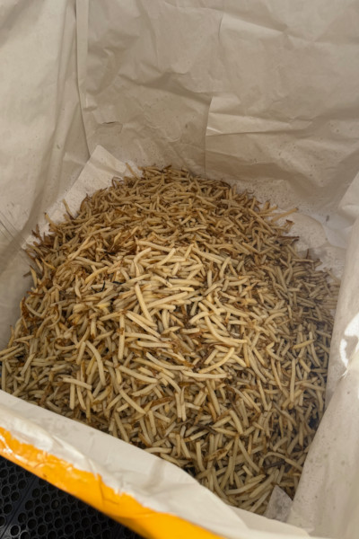 Closeup of the French fries in the container