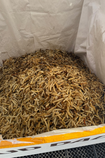 Closeup of the french fries in the container
