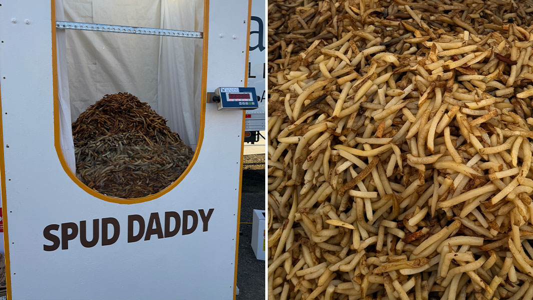 Split image of the Fench fry pile from two different angles