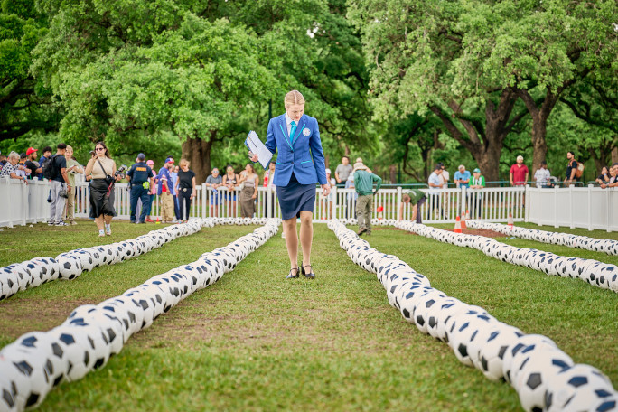 Adjudicator counting the soccer balls