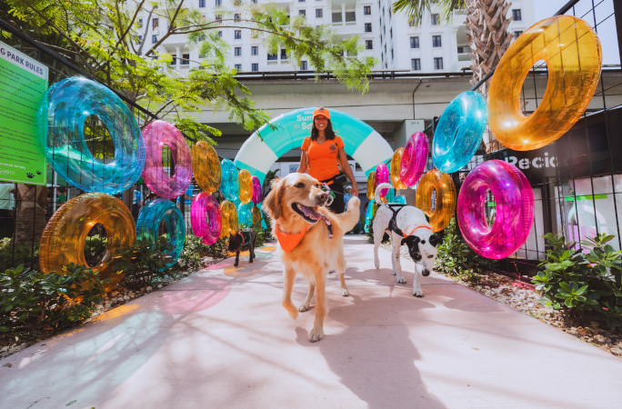 dogs entering the park through a line of pool inflatables