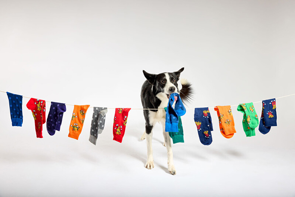 Simba hanging socks white background